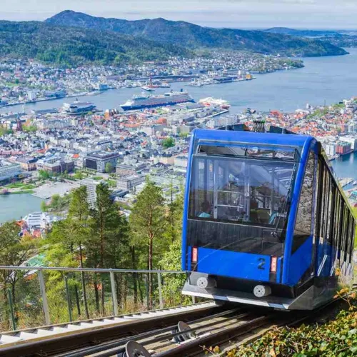 Fløyen